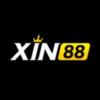 xin88press