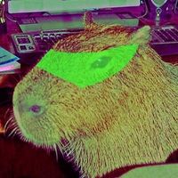 Bird_Up